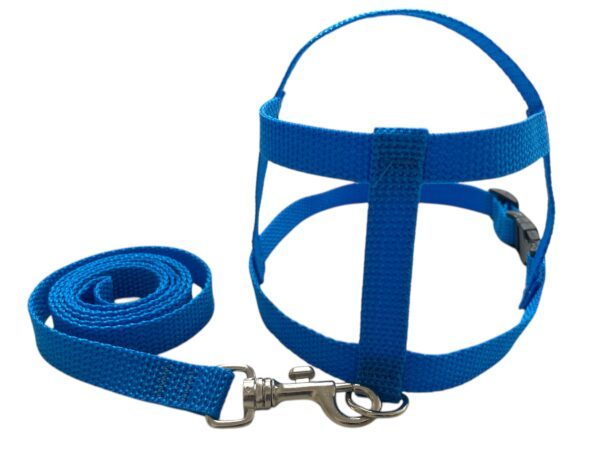 Conjunto Peitoral 15mm Liso (P, M, G, GG, PP)