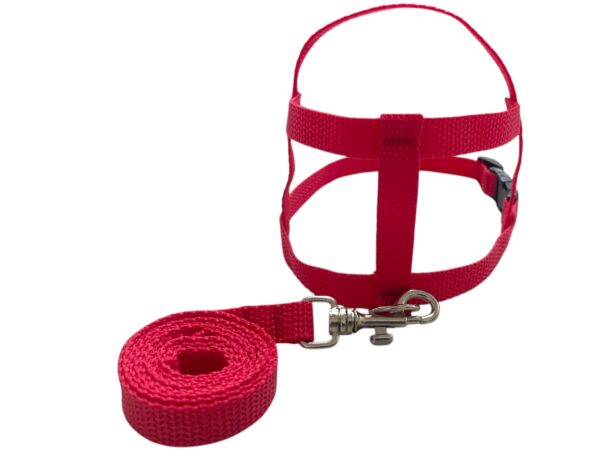 Conjunto Peitoral 15mm Liso (P, M, G, GG, PP) - Imagem 4