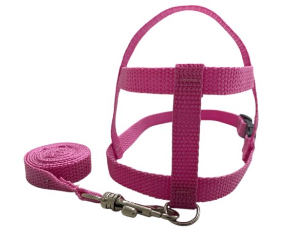 Conjunto Peitoral 15mm Liso (P, M, G, GG, PP) - Imagem 2