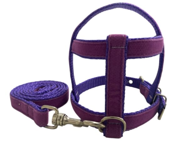 Conjunto Peitoral 15mm Veludo (P, M, G, GG, PP) - Image 2