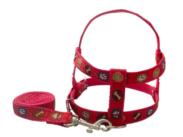 Conjunto Peitoral 20mm Estampado (P, M, G) - Imagem 4