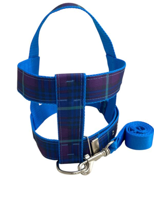 Conjunto Peitoral 40mm (P, M, G, GG) - Imagem 4