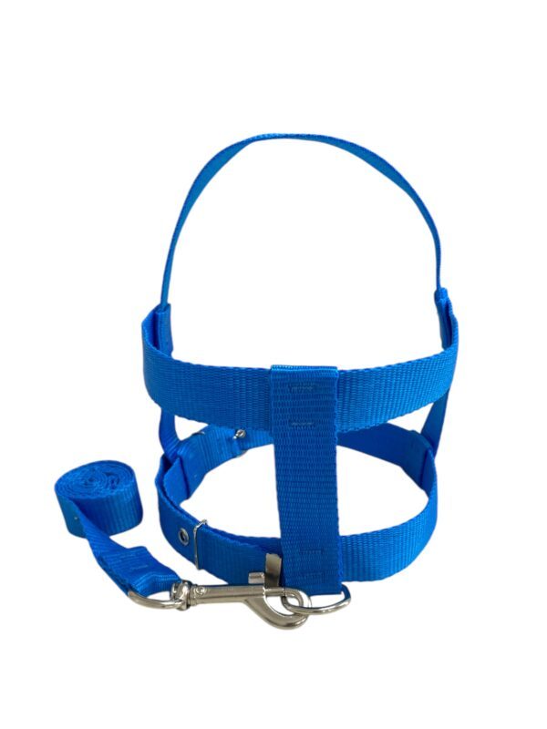 Conjunto Peitoral 25mm (P, M, G)