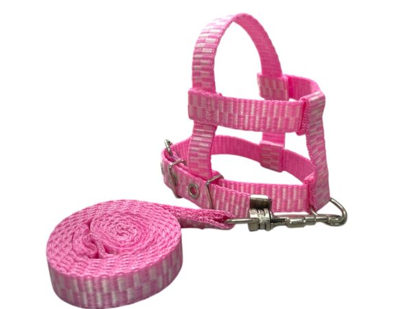 Conjunto Peitoral 15mm Cores Premium (PP, P, M, G, GG) - Imagem 5