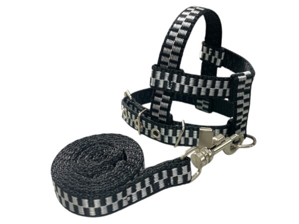 Conjunto Peitoral 15mm Cores Premium (PP, P, M, G, GG) - Imagem 4