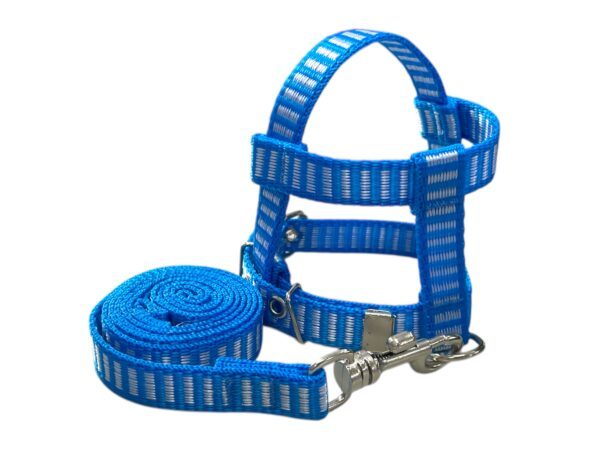 Conjunto Peitoral 15mm Cores Premium (PP, P, M, G, GG)