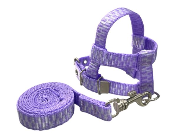 Conjunto Peitoral 15mm Cores Premium (PP, P, M, G, GG) - Imagem 2