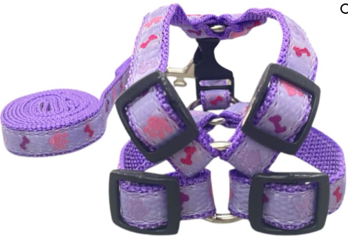 Peitoral americano roxo