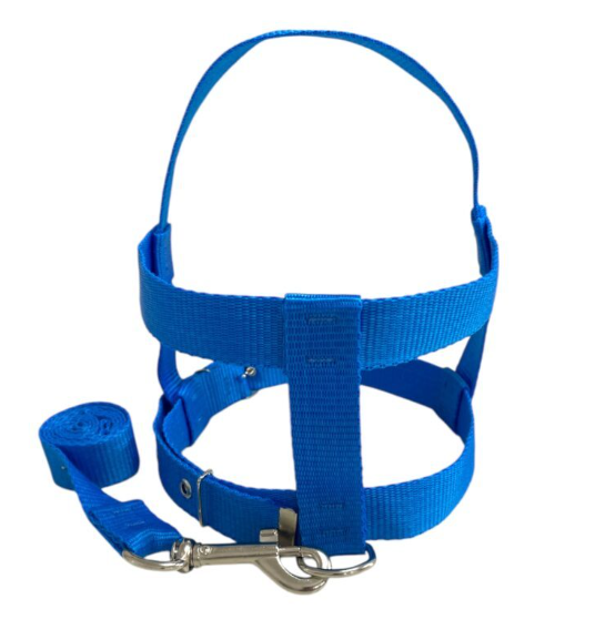 Peitoral para cães azul